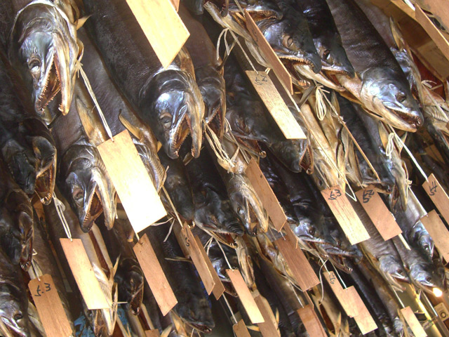 新潟県村上市の名産品「塩引き鮭」